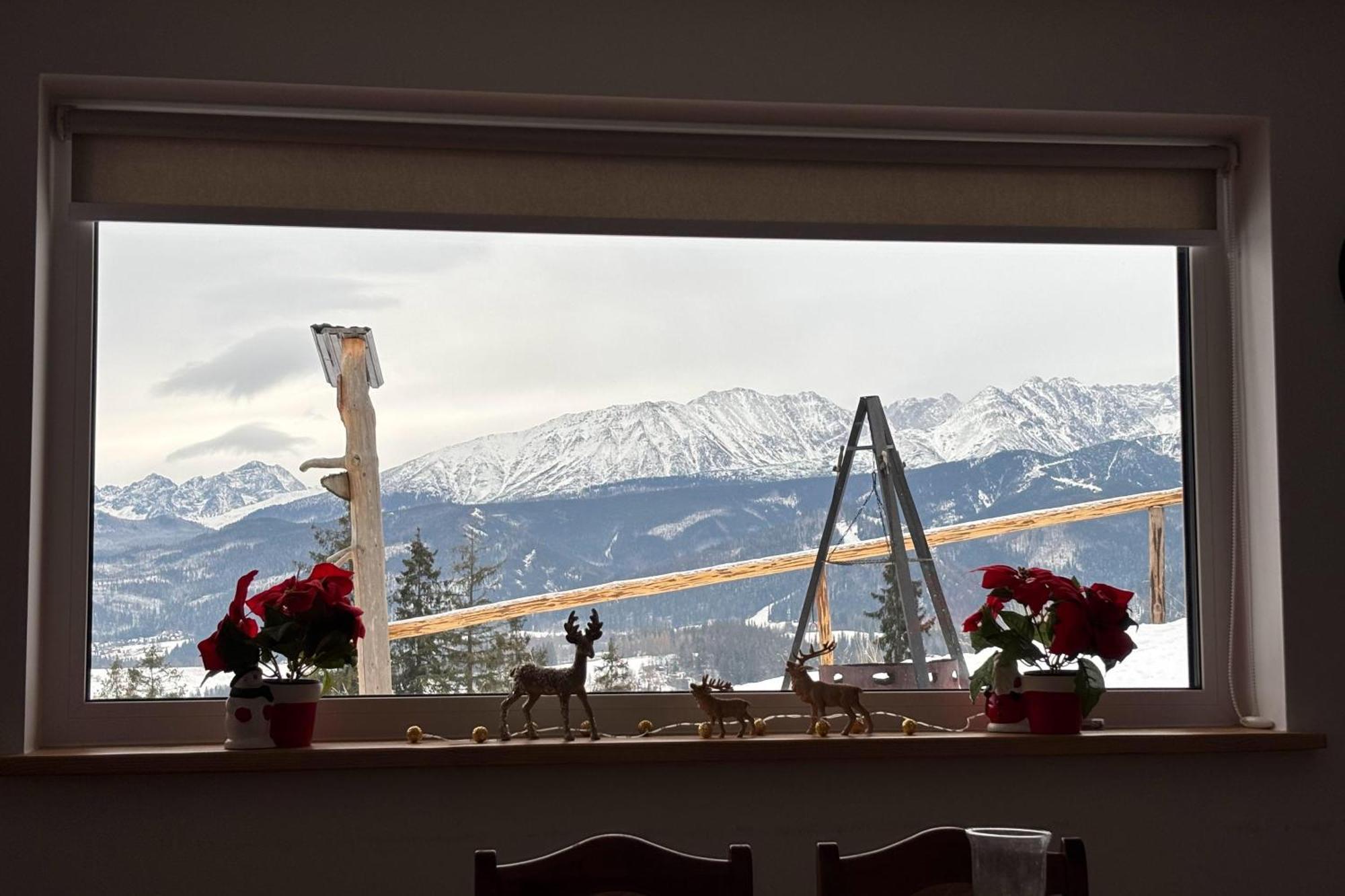 Domek Zakopianski Widok Zakopane Dış mekan fotoğraf
